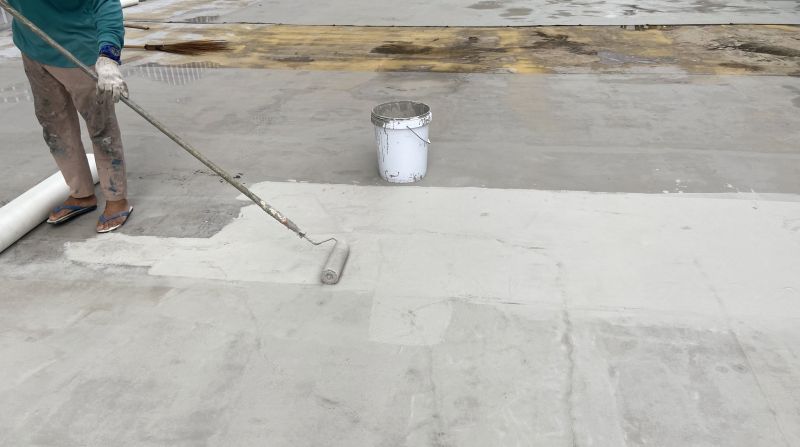 Roof Painting Service detail