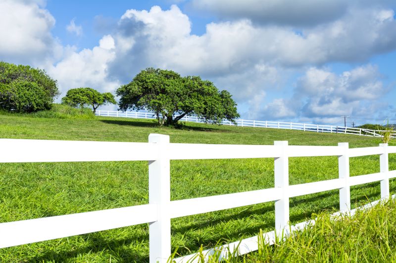 Best Fence Painting Contractors in River Falls, WI